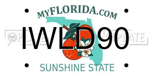 IWLD90 Florida License Plate