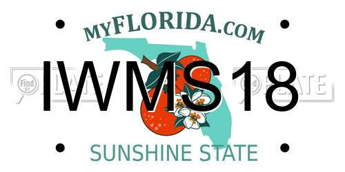 IWMS18 Florida License Plate