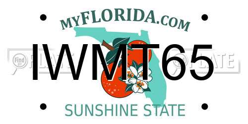 IWMT65 Florida License Plate