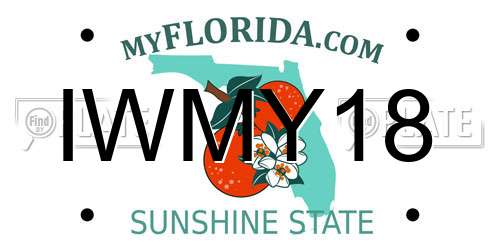 IWMY18 Florida License Plate
