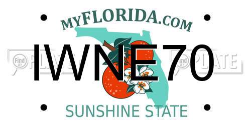IWNE70 Florida License Plate