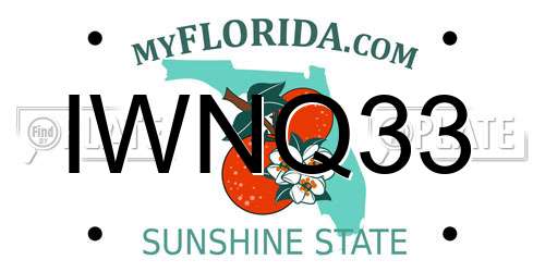 IWNQ33 Florida License Plate