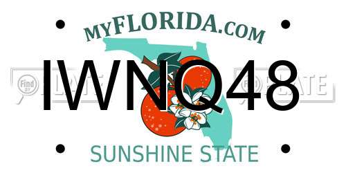 IWNQ48 Florida License Plate