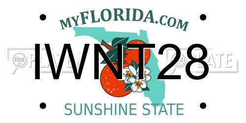 IWNT28 Florida License Plate