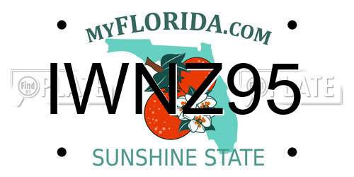 IWNZ95 Florida License Plate