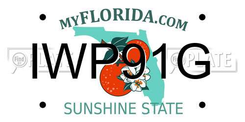 IWP91G Florida License Plate
