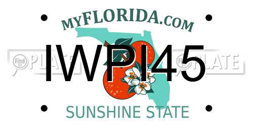 IWPI45 Florida License Plate