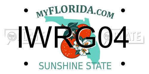 IWRG04 Florida License Plate