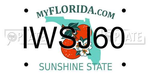 IWSJ60 Florida License Plate