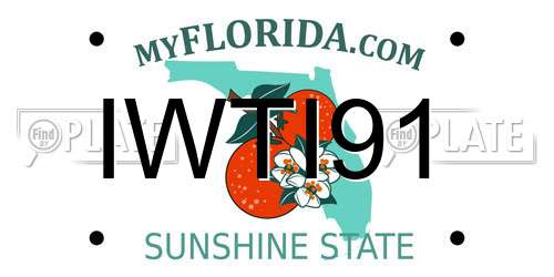 IWTI91 Florida License Plate