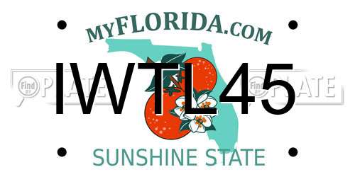 IWTL45 Florida License Plate