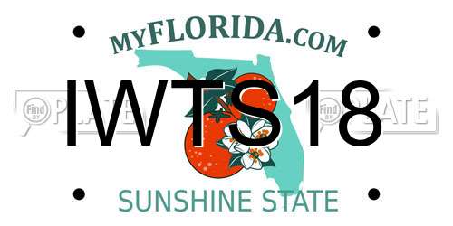 IWTS18 Florida License Plate