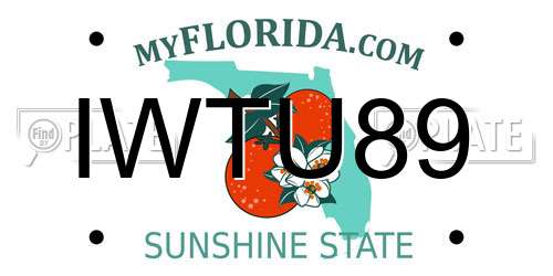 IWTU89 Florida License Plate