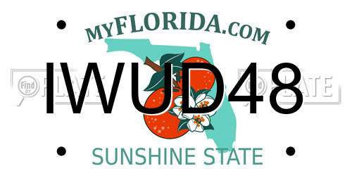 IWUD48 Florida License Plate