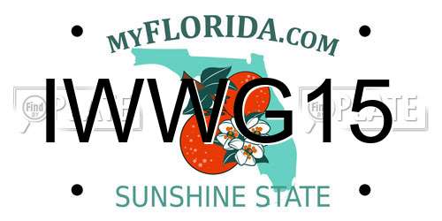IWWG15 Florida License Plate