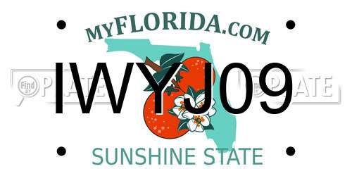 IWYJ09 Florida License Plate