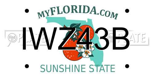 IWZ43B Florida License Plate