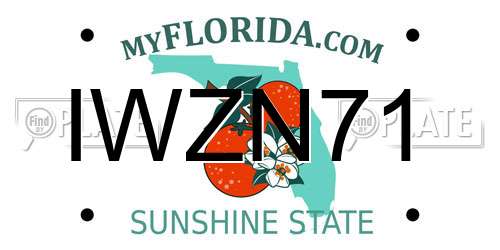 IWZN71 Florida License Plate