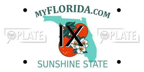 IX Florida License Plate