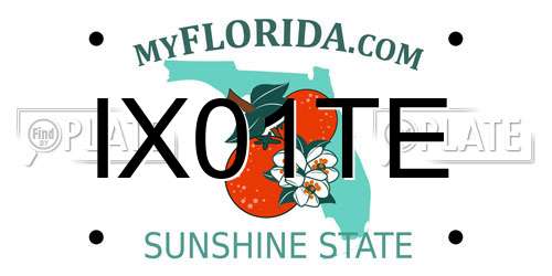 IX01TE Florida License Plate