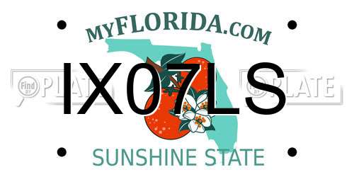 IX07LS Florida License Plate