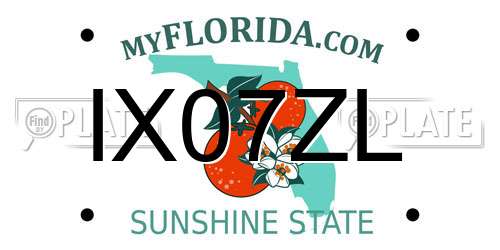 IX07ZL Florida License Plate