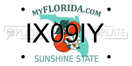 IX09IY Florida License Plate