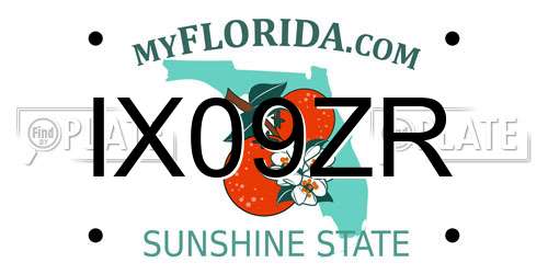 IX09ZR Florida License Plate
