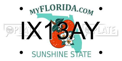 IX13AY Florida License Plate