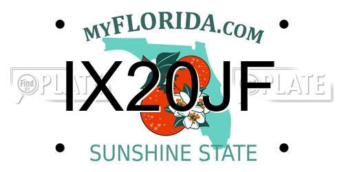 IX20JF Florida License Plate