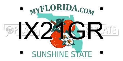 IX21GR Florida License Plate