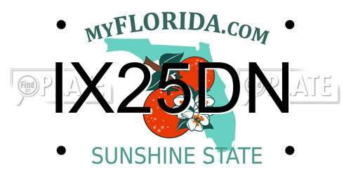 IX25DN Florida License Plate