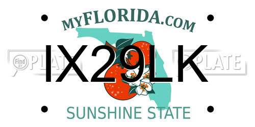 IX29LK Florida License Plate