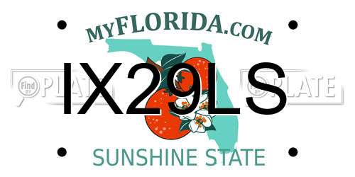 IX29LS Florida License Plate