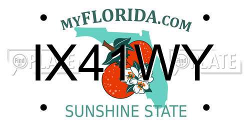 IX41WY Florida License Plate