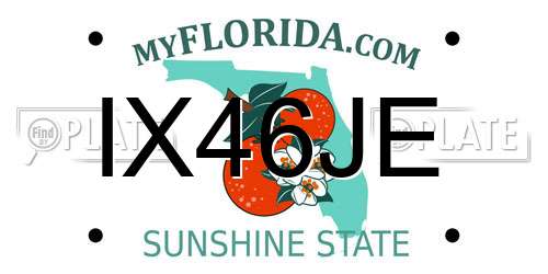 IX46JE Florida License Plate