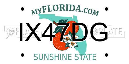 IX47DG Florida License Plate