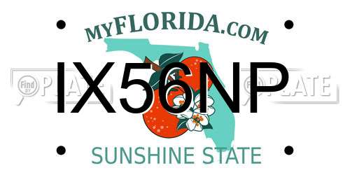 IX56NP Florida License Plate