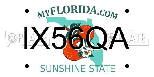 IX56QA Florida License Plate