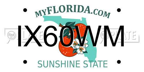 IX60WM Florida License Plate