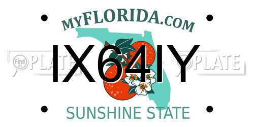 IX64IY Florida License Plate