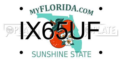 IX65UF Florida License Plate