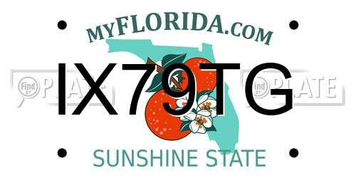 IX79TG Florida License Plate
