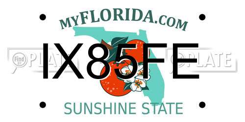 IX85FE Florida License Plate