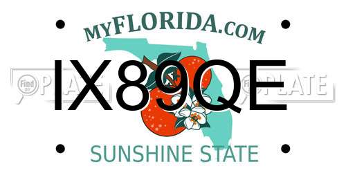 IX89QE Florida License Plate