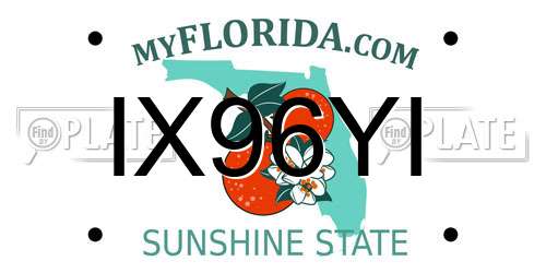 IX96YI Florida License Plate