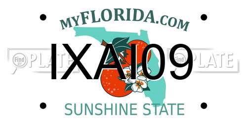 IXAI09 Florida License Plate