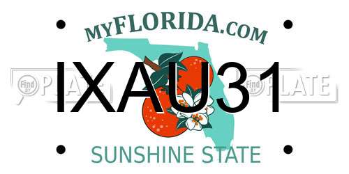 IXAU31 Florida License Plate