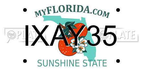 IXAY35 Florida License Plate