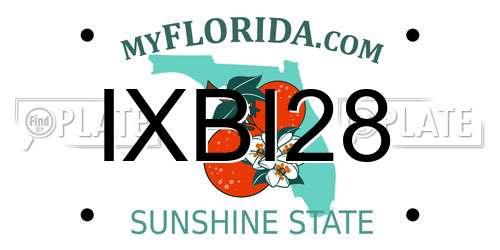 IXBI28 Florida License Plate